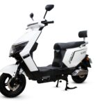 MODELO BRANCO (FOTO) (3)