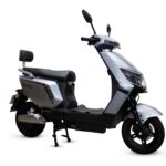 MODELO CINZA (FOTO) (1)